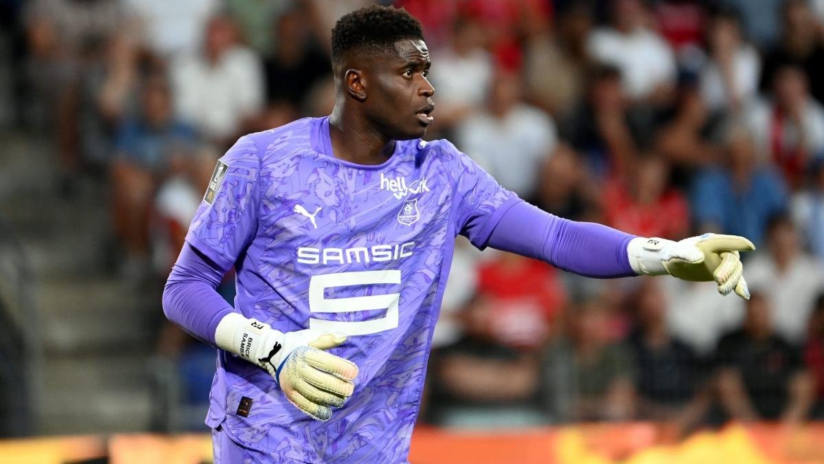 You are currently viewing Brice Samba forfait contre l’Angleterre : qui garde les buts des Bleus ?